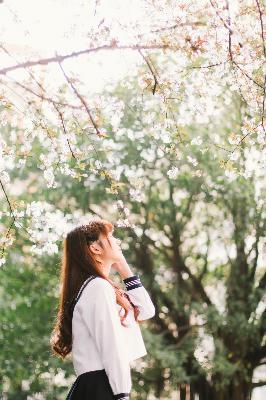 我的阿勒泰电视剧免费观看